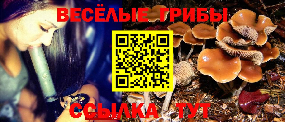 Псилоцибиновые грибы ЛСД  Вход с VPN  Маркс 